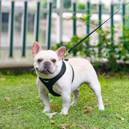 PUPTECK Soft Mesh Dog Harness and Leash Set Pet Puppy Cat Comfort Padded Vest No Pull Harnesses, Solid Black, XS - color: Solid Black, size: XS (NECK: 10", CHEST: 10"-14")