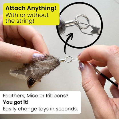 Forever Stick 2-Pack - The Unbreakable Cat Wand Toy, Durable Cat Toy Wand, Extra Long Cat String Toy, Cat Fishing Pole Toy for Bored Indoor Adult Cats, Cat Stick Toy, Cat Feather Wand, Cat Teaser Wand - size: Forever Stick 2-Pack