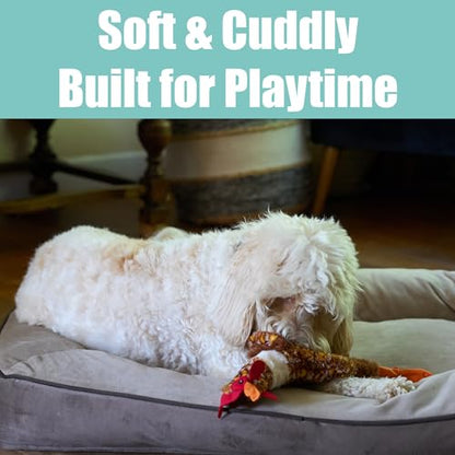 SPOT Skinneeez Chicken 17" Stuffing-Free Plush Dog Toy with Honking Squeaker – Soft, Floppy & Mess-Free Interactive Toy for Medium & Large Dogs – Ideal for Light & Moderate Chewers - style: Chicken