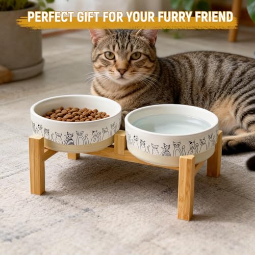 Elevated Ceramic Cat Bowls with Wooden Stand，6.1inch Raised Cat Bowls with Cute Pattern for Small and Medium Breed Dogs,2 Pack Cats Food and Water Bowl Set,Weighted Pet Dishes Dishwasher Safe - size: 2 pack bowl with stand
