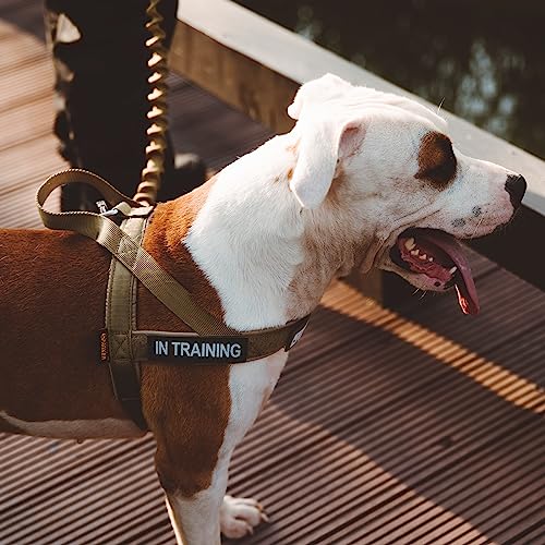 EXCELLENT ELITE SPANKER No Pull Dog Harness Padded Military Patrol Vest Adjustable Nylon Small Service Walking Dog Harness with Handle for Training Running(COB-S) - color: COB, size: S-(Chest 19.5-25.5")