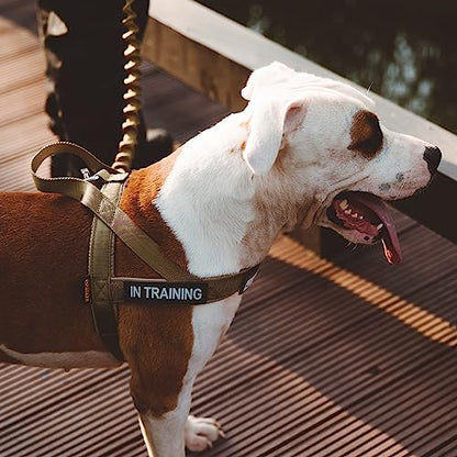 EXCELLENT ELITE SPANKER No Pull Dog Harness Padded Military Patrol Vest Adjustable Nylon Small Service Walking Dog Harness with Handle for Training Running(COB-XS) - color: COB, size: XS-(Chest 13.5-19.5")