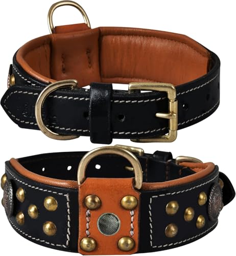 Genuine Leather ‘Cupola’ Series Dog Collar | Celtic Conchos & Gold Dome Rivets | Soft, Cushion Padding, Handmade | Best for Medium, Large, XL Breeds (M (Neck Size 14.5"-18.5"), Sable Black) - color: Sable Black, size: M (Neck Size 14.5"-18.5")