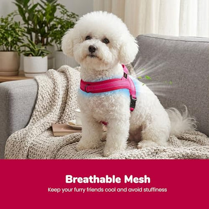 Didog No Pull Dog Harness with Soft Mesh Padded,Reflective & Quick Fit Light Weight Dog Strap Vest Harness,Easy for Walking Training (XS:Chest 15-18", Mesh-Hot Pink) - color: Hot Pink, size: XS: Chest 15-18", Fit 9-18 lbs