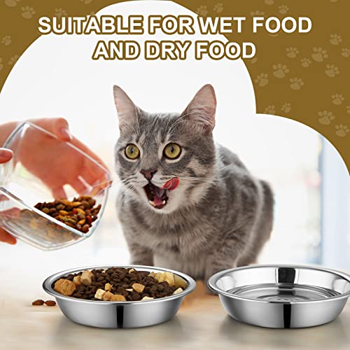 Mimorou 10 Pcs Stainless Steel Cat Bowls Bulk, Small Dog Shallow Food Bowls Replacement Metal Cat Dishes for Pet Food and Water, Dishwasher Safe(5.5 Inch Diameter)