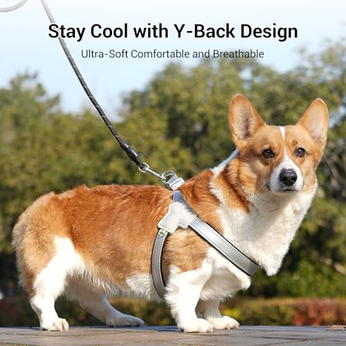 Adjustable Vest Harness with Leash - Breathable Mesh, Soft Padded Vest for Small Dogs & Cats （Large + 5 Ft Black Reflective Leash） - color: Blue Grey, size: Large