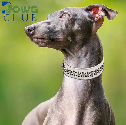 Genuine Leather ‘Cupola’ Series White Dog Collar | Rhinestone | Soft, Cushion Padding, Handmade | Best for Medium, Large, XL Breeds(XL (Neck Size 22.5"-25.5"), White, Antique Copper Conchos) - color: White, Antique Copper Conchos, size: XL (Neck Size 22.5