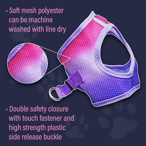 Doggie Design Dog Harness - No Choke Dog Harness, Dog Vest, Mesh Polyester, Pet Harness, Simple Step in and Go Design, Harness for Dog - Raspberry Sundae, XXS - color: Raspberry Sundae, size: XX-Small