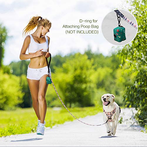 PoyPet 5 Feet Dog Leash with Padded Handle for Small Medium and Large Dogs(Checkered Beige) - color: Checkered Beige - 1 Handle