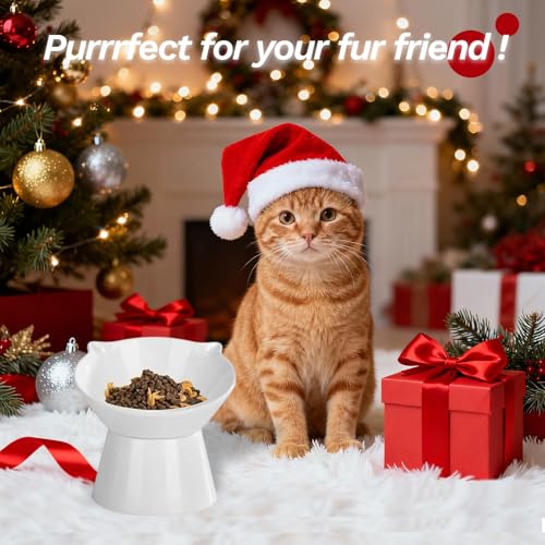 Detachable Elevated Cat Bowls, 15° Tilted Raised Cat Food Bowl Anti-Vomiting, Whisker Friendly, Adjustable Pet cat Dishes for Protecting Spine, Adult Kitten (White) - color: White