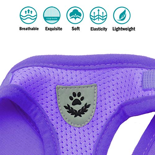 Dog Harness and Leash Set for Walking, Soft Mesh Adjustable Easy Control Lightweight Cat Vest Harnesses with Reflective Strips, Escape Proof Small Dogs Cats Vests - color: Purple, size: Large