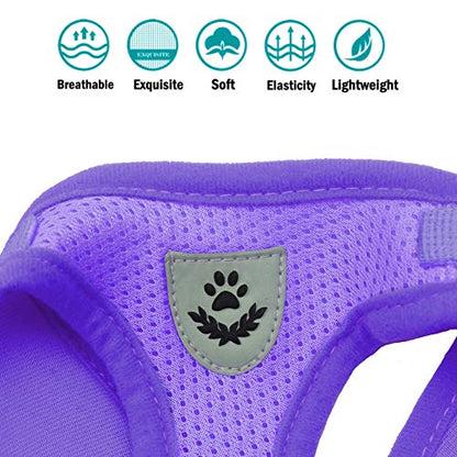 Dog Harness and Leash Set for Walking, Soft Mesh Adjustable Easy Control Lightweight Cat Vest Harnesses with Reflective Strips, Escape Proof Small Dogs Cats Vests - color: Purple, size: X-Small