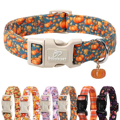 Fall Dog Collar Cute Autumn Pumpkin Puppy Collar - Light Comfortable Adjustable Pet Collars for Small Medium Large Girl Boy Dogs XS - color: Fall Pumpkin, size: XS