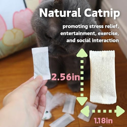 CECE PAW 12 Pack Natural Catnip Pouches for Cat Toys, Non-Woven Fabric Cat nip Refills, Gift Packaging with Catnip Tea Bags and Feather Whale Toy - color: Catnip Tea Bags, size: Cat