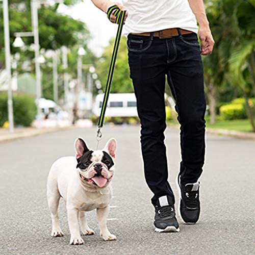 Downtown Pet Supply - Long Dog Leash - Dog Training Leash - Recall & Obedience Dog Training Tools - Nylon - 50 ft - Reflective Black Dog Leash - size: 50 Foot