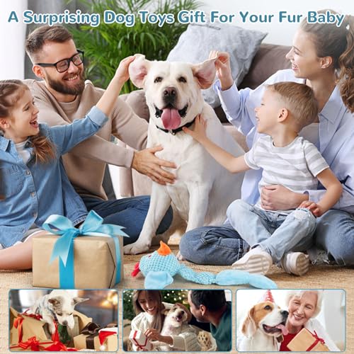 Fuufome Squeaky Dog Toys for Medium and Small Dogs-Interactive Tug of War Toy for Puppy Teething,Great Plush Dog Toy for Dogs to Keep Them Busy - color: sky blue