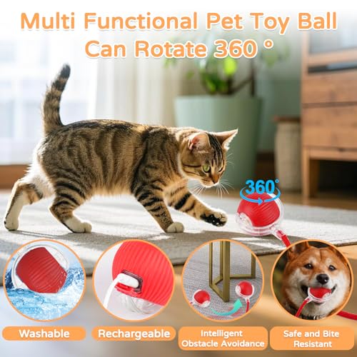 Goosheep 2025 New 2Pack Cat Ball Kitten Toys for Indoor Interactive Kitty Ball Toy Speedy Tail 360° Automatic Rolling for Dog, Cat(Red Grey) - size: 2 Pack