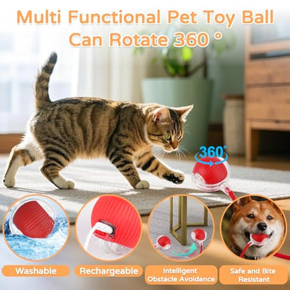 Goosheep 2025 New 2Pack Cat Ball Kitten Toys for Indoor Interactive Kitty Ball Toy Speedy Tail 360° Automatic Rolling for Dog, Cat(Red Grey) - size: 2 Pack