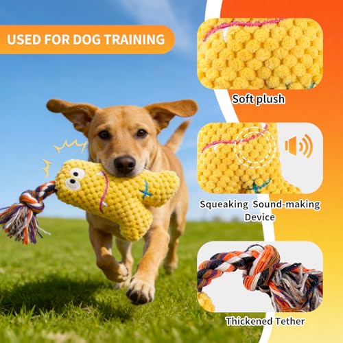 Flirt Pole for Dogs Heavy Duty - Dog Chase Toy with Squeak Toy & Braided Rope, Upgraded XL Carry Bag, Lightweight Interactive Wand for Small Medium Breeds, Indoor & Outdoor Training