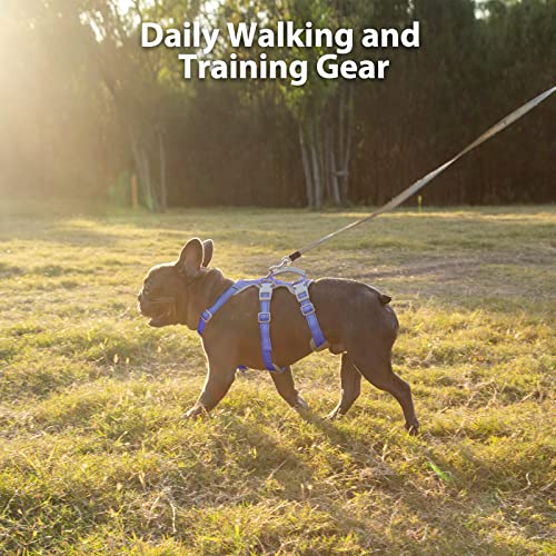 Huntboo Escape Proof Dog Harness, No Pull Reflective Harness with Lift Handle, Adjustable Pet Vest with Front and Back Leash Clips for Small Medium Large Dogs Walking Hiking Training (Vista Blue,XL) - color: Vista Blue, size: X-Large(pack of 1)