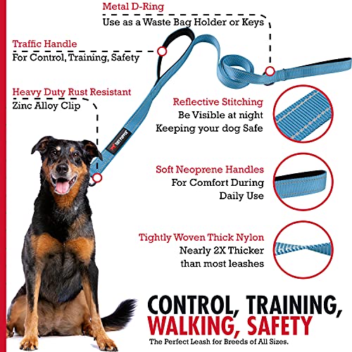 Tuff Pupper Heavy Duty Double Handle Leash | Twist Locking Carabiner Clip | Safety Lock for Strong Dogs | Reflective for Safe Night Walks | 6 Foot Leash | For Medium & Large Dogs - color: Teal