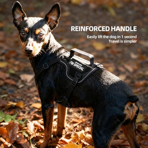 Tactical Dog Harness and Leash Set for Small Dogs - Military Puppy Vest Harness with Patches Vertical Handle Reflective Pet Harness for Walking Hiking Outdoor Training (Black, XXS) - size: Xxs
