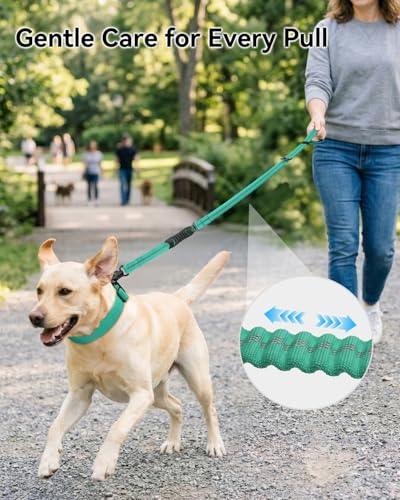 Joytale Tactical Dog Leash Heavy Duty, 4-6FT Shock Absorbing Bungee Lead with 2 Padded Handle, Metal Carabiner Clip, Car Seatbelt, Strong No Pull Leash for Medium Large X-Large Dogs, Teal - color: Teal