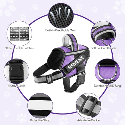 Service Dog Vest Harness and Leash Set, Animire in Training Dog Harness with 10 Dog Patches, Reflective Dog Leash with Soft Padded Handle for Small, Medium, Large, and Extra-Large Dogs - color: Purple, size: XXS