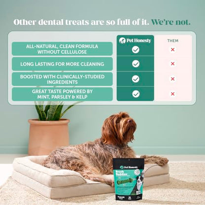 Pet Honesty Brush Buddies All Natural Dog Dental Treats for Dogs – Long Lasting Dental Sticks for Dogs, Teeth Cleaner, Breath Freshener, Plaque & Tartar Remover – Medium Sized Dogs (15 Count) - size: Medium Dog - 15 Count