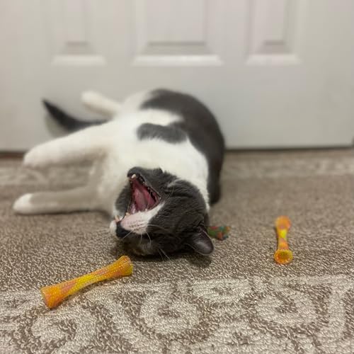 SPOT Kitty Fun Tubes Cat Toy | Bouncy Cat Toy with Catnip Inside for Cats and Kittens to Bite, Swat and Chase | Interactive Cat Toy | 3 Pieces