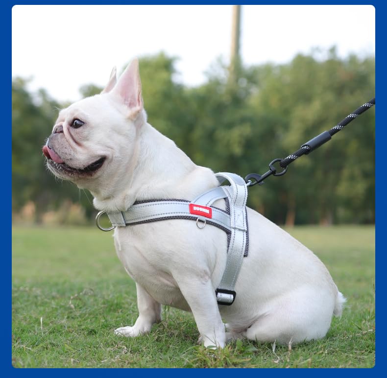 Dog Harness,No Pull Dog Harness, Adjustable Soft Harness with Breathable Mesh Padded, Reflective Lightweight Harness for Extra Small Medium Dogs Grey-L - color: Grey, size: L