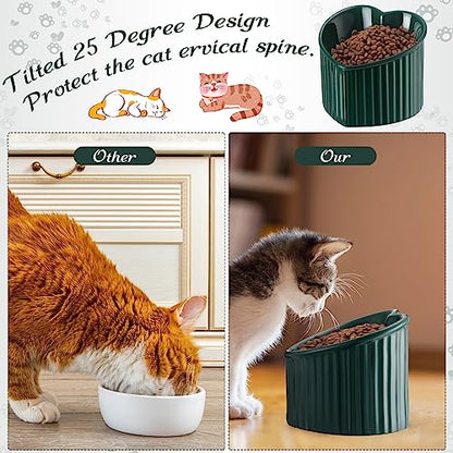 Mumufy 2 Pcs Ceramic Elevated Cat Bowls Tilted Elevated Raised Pet Bowls Anti Vomit Cat Dish for Indoor Stress Free Water Dish Feeder for Puppies, Heart Shaped(Peacock Green) - color: Peacock Green