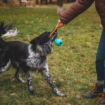 Ruffwear, Huck-a-Cone Dog Toy – Durable Tug, Throw & Fetch Toy with Knotted Rope Handle, Interactive Play for Dogs, Glacial Blue - color: Glacial Blue