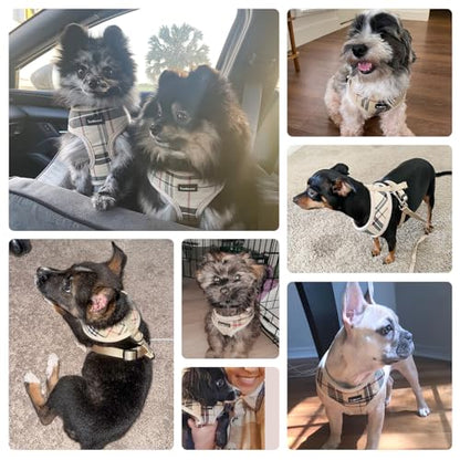 SCENEREAL Puppy Dog Harness with Leash Set for Small Medium Dogs, Soft Mesh Pet Harnesses and Leash, No Chock Plaid No Pull Vest - color: Beige, size: XS: Chest Girth: 10"-14"