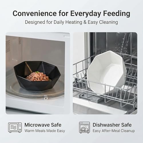 Raised Cat Bowl - Ceramic Tilted Elevated Food Bowl for Indoor Cats & Small Dogs - Shallow Wide Whisker-Friendly Design - Pet Dish Suitable for Feeding Dry, Wet, Treats & Canned Food - Black - color: Black with stand
