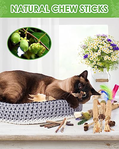 TINDTOP Silvervine Chew Sticks for Cats, 12 Pack Natural Catnip Chew Toys for Kittens Teeth Cleaning, Matatabi Dental Care, Increase Appetite, Calm Cat Anxiety and Stress, Cat Dental Toy - color: 12 Pack