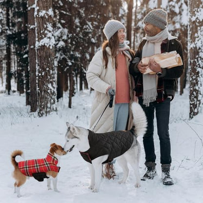 Kuoser Waterproof Dog Coat, Reversible Dog Jacket for Medium Dogs, Adjustable Durable Doggie Winter Coat Warm Puppy Cold Weather Apparel from Small to Large Breed, Bright Red M - color: Bright Red, size: Medium (Pack of 1)
