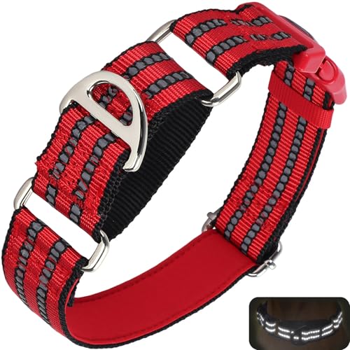 Martingale Dog Collar for Dogs, Reflective Heavy Duty Adjustable Collar with Quick Release Buckle, No Slip Collar for Girl or Boy Dogs Training, Walking, Hunting (Red S) - color: R, size: S
