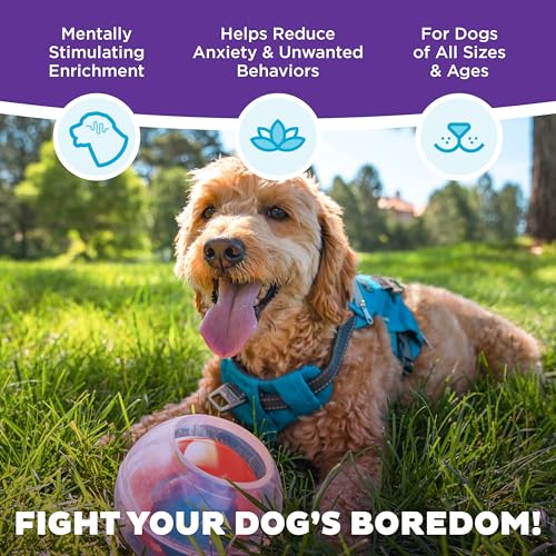 Outward Hound Nina Ottosson Topsy Treat Ball Dog Puzzle Interactive Treat Puzzle Dog Enrichment Dog Toy, Level 1 Beginner, Orange - color: Blue