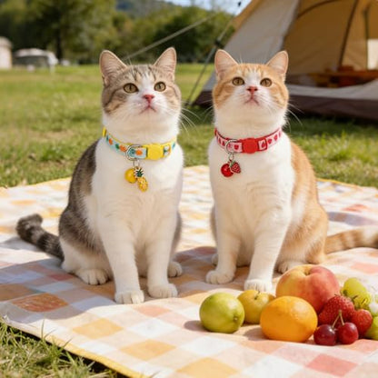 BINGPET Breakaway Cat Collar with Bell, 3 Pack Cat Collars for Girl Cats, Cute Kitty Collars Accessories with Pineapple & Cherry & Strawberry - color: Fruit-3pcs