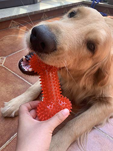 Jalousie Dog Squeaky Toys Value Set Non-Toxic Squeaky Balls Toss Fetch TPR Rubber Puppy Toys Spikey Dog Chew Toy for Small Medium Breed Pet Toys for Puppy (6 Pack Spiky Ball) - color: 6 Pack Spiky Ball