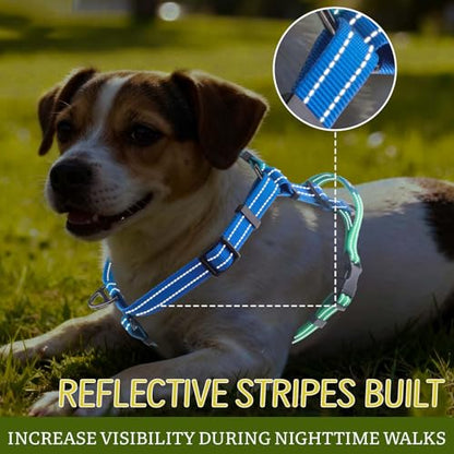 Roses&Poetry Dog Harness Medium Sized Dog, 6 Point Adjustable Fit No Pull Harness with Handle for Control and Easy Walking, Reflective Pet Halter Harnesses（Bluegreen-M） - color: BlueGreen（Harness Only Without Leash）, size: Medium