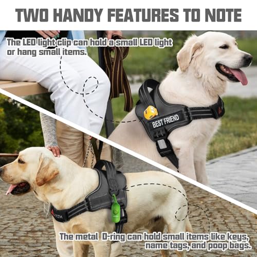 AUROTH Dog Harness and Leash Set, Soft Padded Service Dog Vest with 5.25FT Dog Leash, No Choke, Easy On Pet Vest, Adjustable Reflective No Pull Dog Harness Small Sized Dog, Easy Walking and Training - color: Black, size: Small