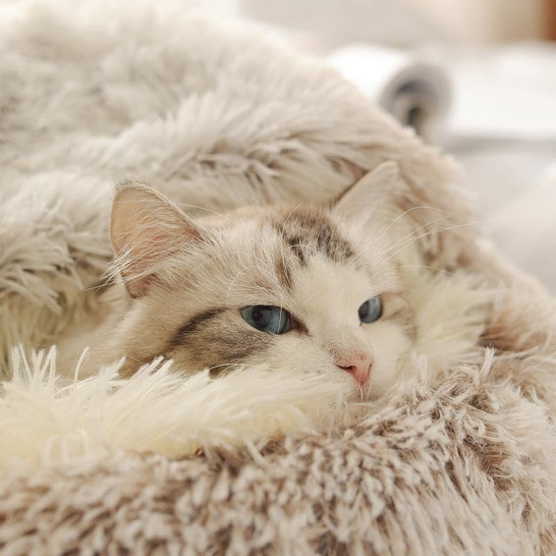 Cat Bed Round Fluffy Hooded Cat Bed Cave, Anti-Anxiety Cave Bed with Hooded Blanket, Cozy Cuddler Luxury Puppy Pet Bed, Anti-Slip Bottom and Machine Washable (Coffee, Large) - color: Coffee, size: Large