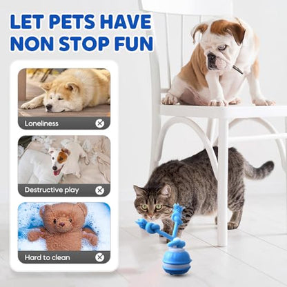 LECDOA Interactive Dog Toys, Smart Touch-Activated Automatic Rolling Ball, USB Rechargeable Bouncing Dog Ball, Suitable for Cats and Small to Medium-Sized Puppies (Blue 2pcs) - color: Blue 2pcs