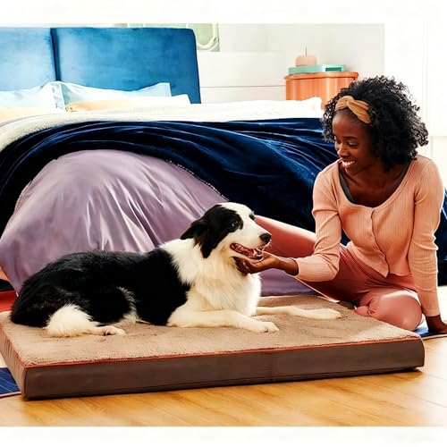Dog Bed with Waterproof Inner Liner, Removable Cover, Egg Crate Foam Dog Beds, Easy to Clean，36×26Inch，Khaki - color: Khaki, size: 36"L x 26"W x 3"Th
