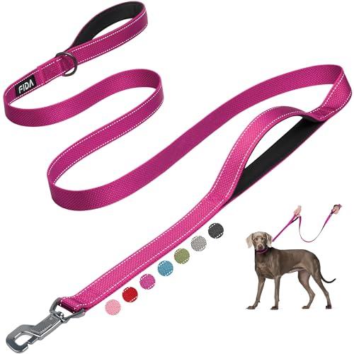 Fida 6 FT Heavy Duty Dog Leash with 2 Comfortable Padded Handles, Traffic Handle & Advanced Easy Snap Hook, Reflective Walking Lead for Large, Medium & Small Breed Dogs, Rose - color: Rose, size: 6 Feet (Pack of 1)