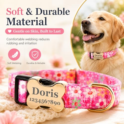 Custom Dog Collar with Engraved Name & Phone Number, Personalized Anti-Lost Pet Collar, Adjustable Durable Soft Collar for X-Small Small Medium Large X-Large Dogs, Outdoor Walking Training Daily Wear - color: New bone buckle