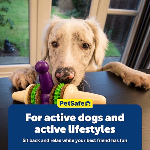 PetSafe Busy Buddy Jack - Treat Holding Dog Chew Toys - Helps Clean Teeth - Vanilla Scented Rubber for Strong Chewers - Treat Refills Included, Interactive Dog Toy Helps Keep Dogs Busy, Purple, Medium - size: Medium, style: Treat Holding Jack