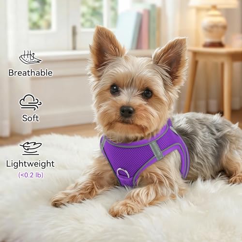 Joytale Small Dog Harness, Breathable Mesh Step-in Vest, Reflective Soft Padded Harnesses for Cats and Puppies Dogs, Purple, XXXS - color: Purple, size: XXXS--Chest: 10.5-12''